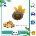 Heißverkauf 100% 10: 1 20: 1 Maca Root Extract